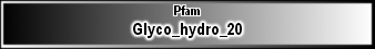 Glyco_hydro_20
