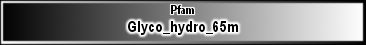 Glyco_hydro_65m