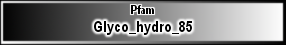 Glyco_hydro_85