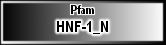 HNF-1_N