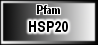 HSP20