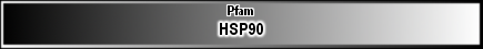 HSP90