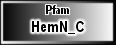 HemN_C