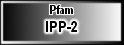 IPP-2