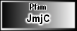 JmjC