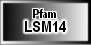 LSM14