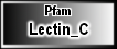 Lectin_C