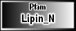 Lipin_N