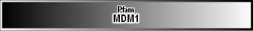 MDM1