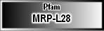 MRP-L28