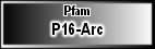 P16-Arc