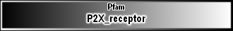 P2X_receptor