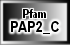 PAP2_C
