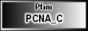 PCNA_C