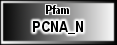 PCNA_N
