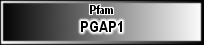 PGAP1