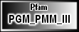 PGM_PMM_III