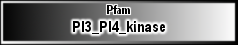 PI3_PI4_kinase