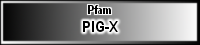 PIG-X