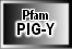 PIG-Y