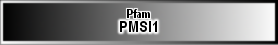 PMSI1