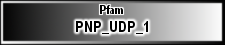 PNP_UDP_1