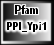 PPI_Ypi1