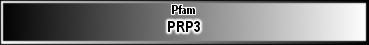 PRP3