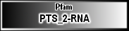 PTS_2-RNA