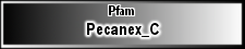 Pecanex_C
