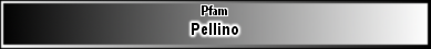 Pellino