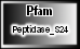 Peptidase_S24
