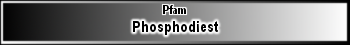 Phosphodiest