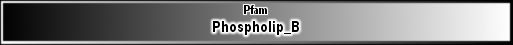 Phospholip_B