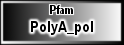 PolyA_pol