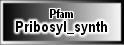 Pribosyl_synth