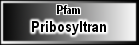 Pribosyltran