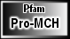 Pro-MCH