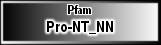 Pro-NT_NN