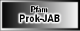 Prok-JAB