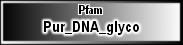 Pur_DNA_glyco