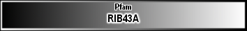 RIB43A