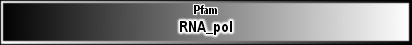 RNA_pol