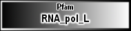 RNA_pol_L