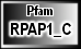 RPAP1_C