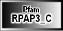 RPAP3_C