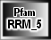 RRM_5