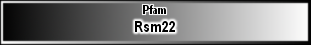 Rsm22