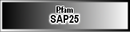 SAP25