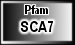 SCA7